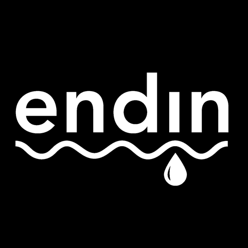 Endin LOGO